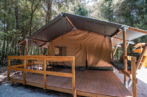Glamping Eco Campus